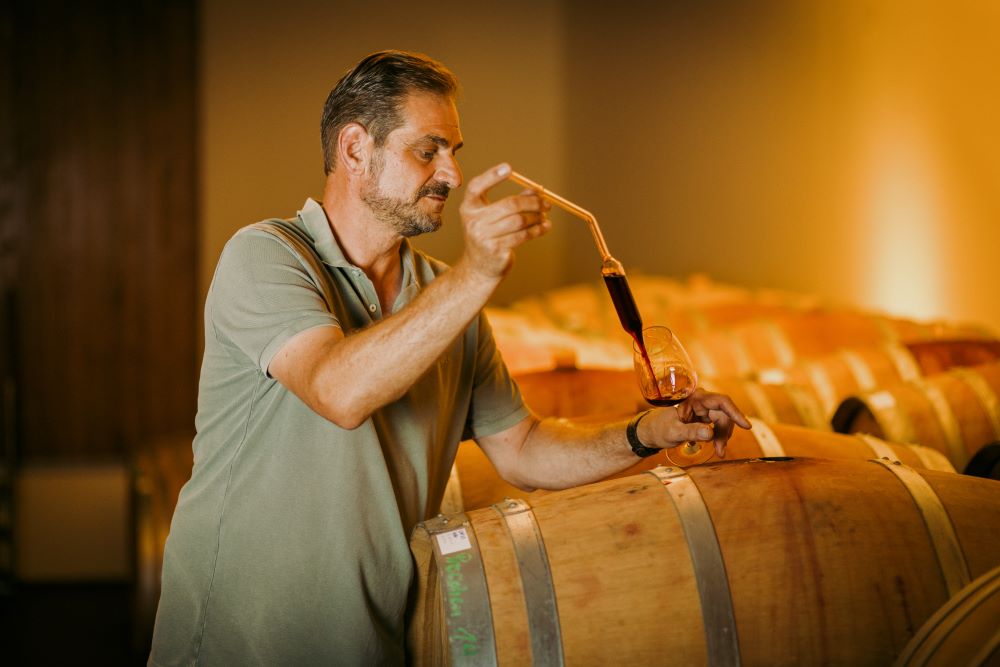 Rudi Schwarzböck zieht Wein aus einem großen Weinfass im Weinkeller