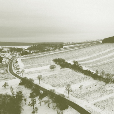 vineyard winterwonderland