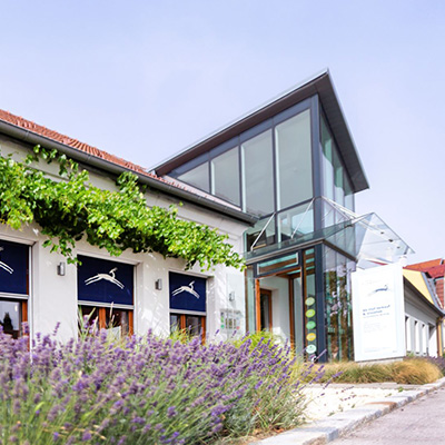 Weinverkostung mit 3 Gläsern, die anstoßen